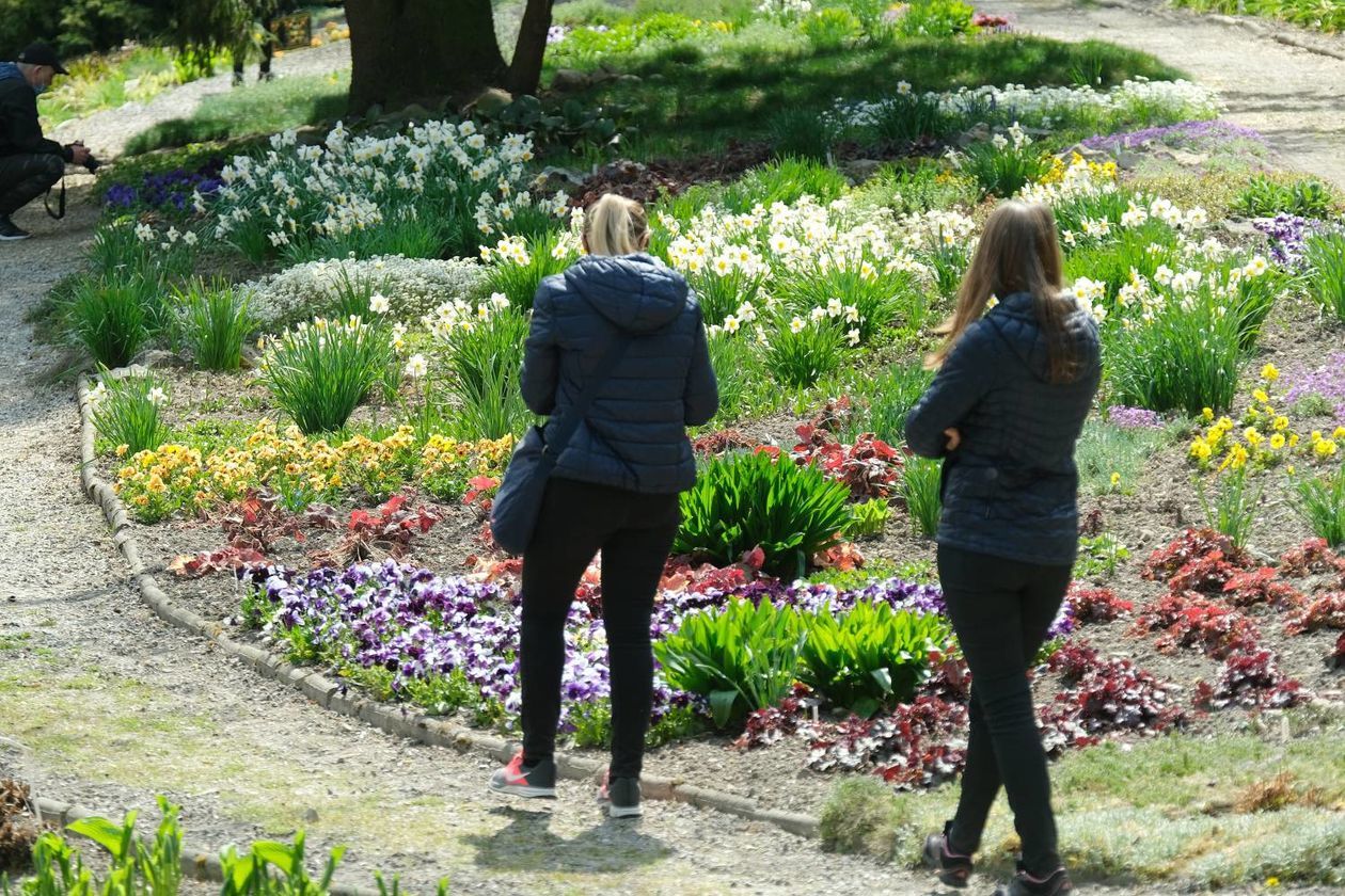  Ogród Botaniczny UMCS od soboty otwarty dla zwiedzających (zdjęcie 1) - Autor: Maciej Kaczanowski