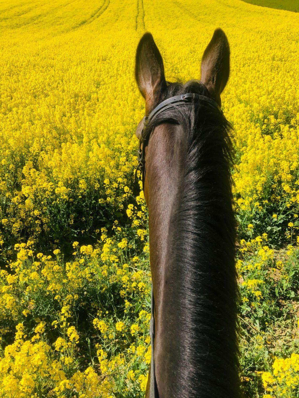  Piękna Lubelszczyzna - zdjęcia Czytelników (zdjęcie 1) - Autor: Justyna Garbal