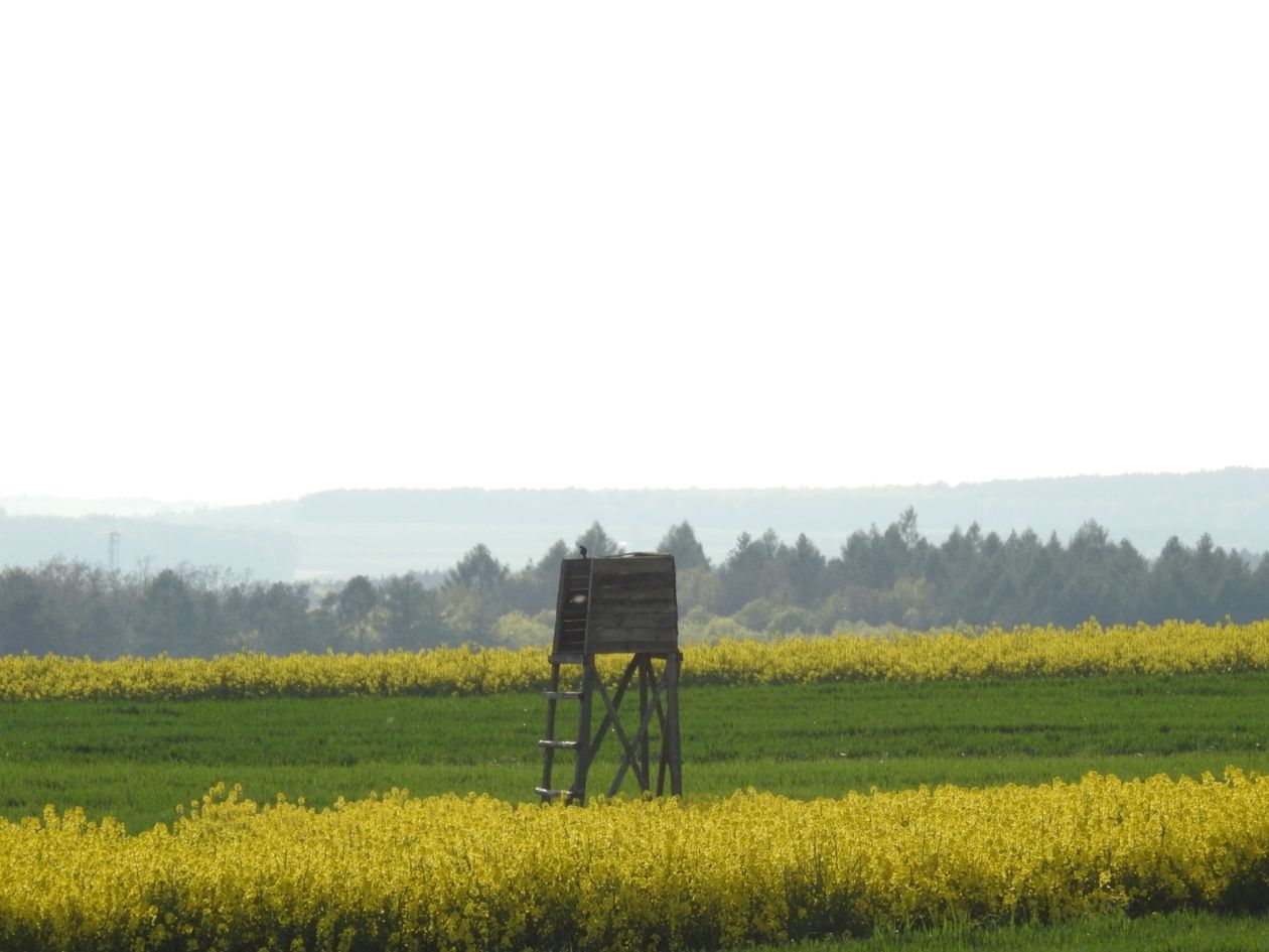  Piękna Lubelszczyzna - zdjęcia Czytelników (zdjęcie 1) - Autor: Elżbieta Szostek