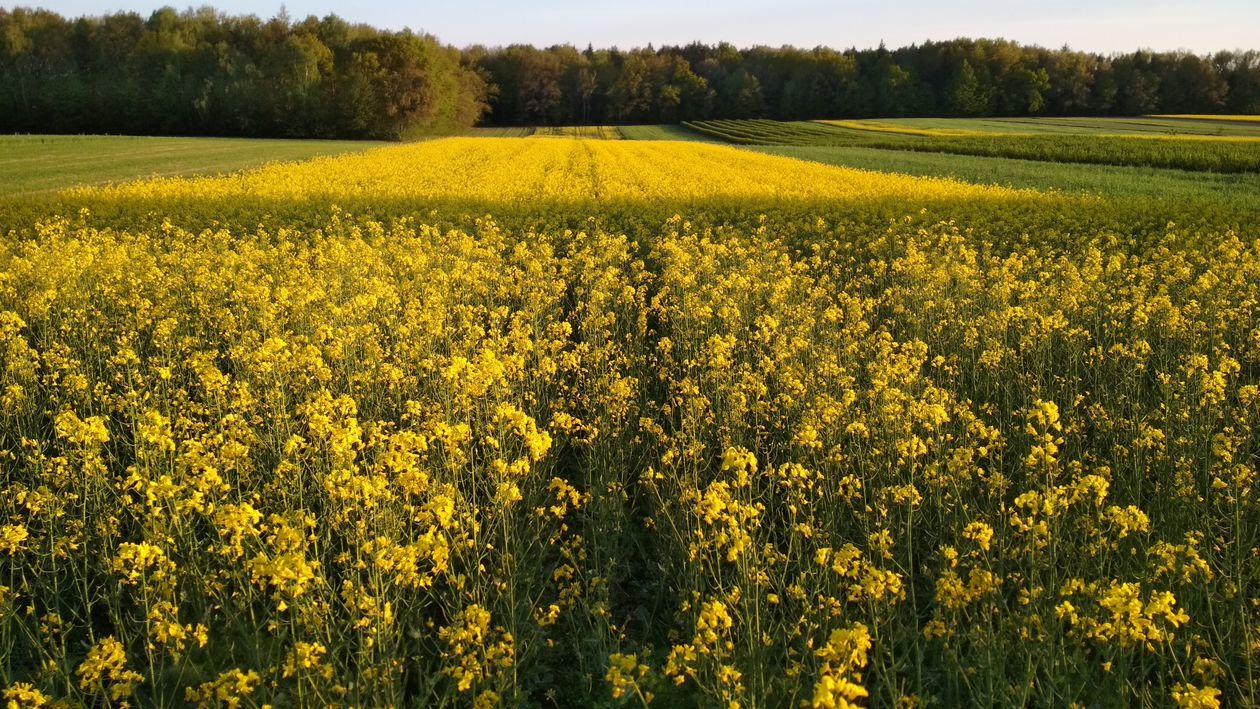 Piękna Lubelszczyzna - zdjęcia Czytelników