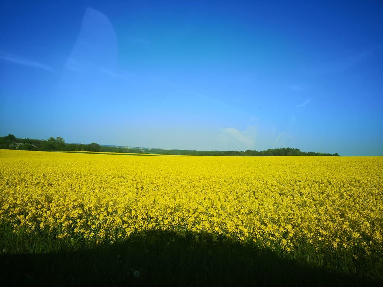  Piękna Lubelszczyzna - zdjęcia Czytelników (zdjęcie 1) - Autor: Nina lab