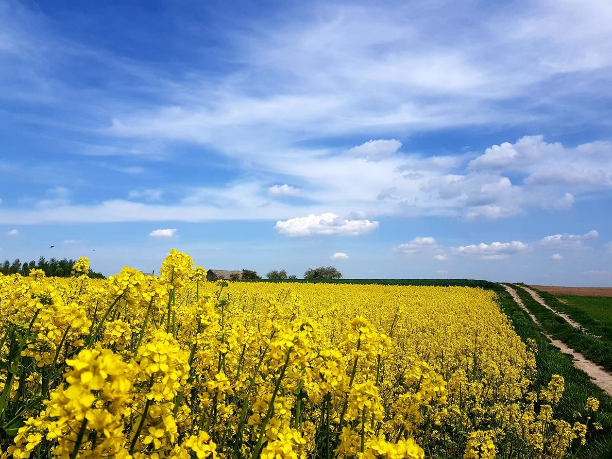  Piękna Lubelszczyzna - zdjęcia Czytelników (zdjęcie 1) - Autor: Małgorzata Polska