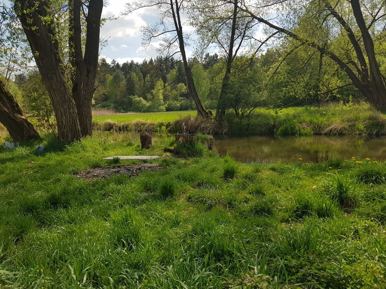  Piękna Lubelszczyzna - zdjęcia Czytelników (zdjęcie 1) - Autor: Symeon Pakuła