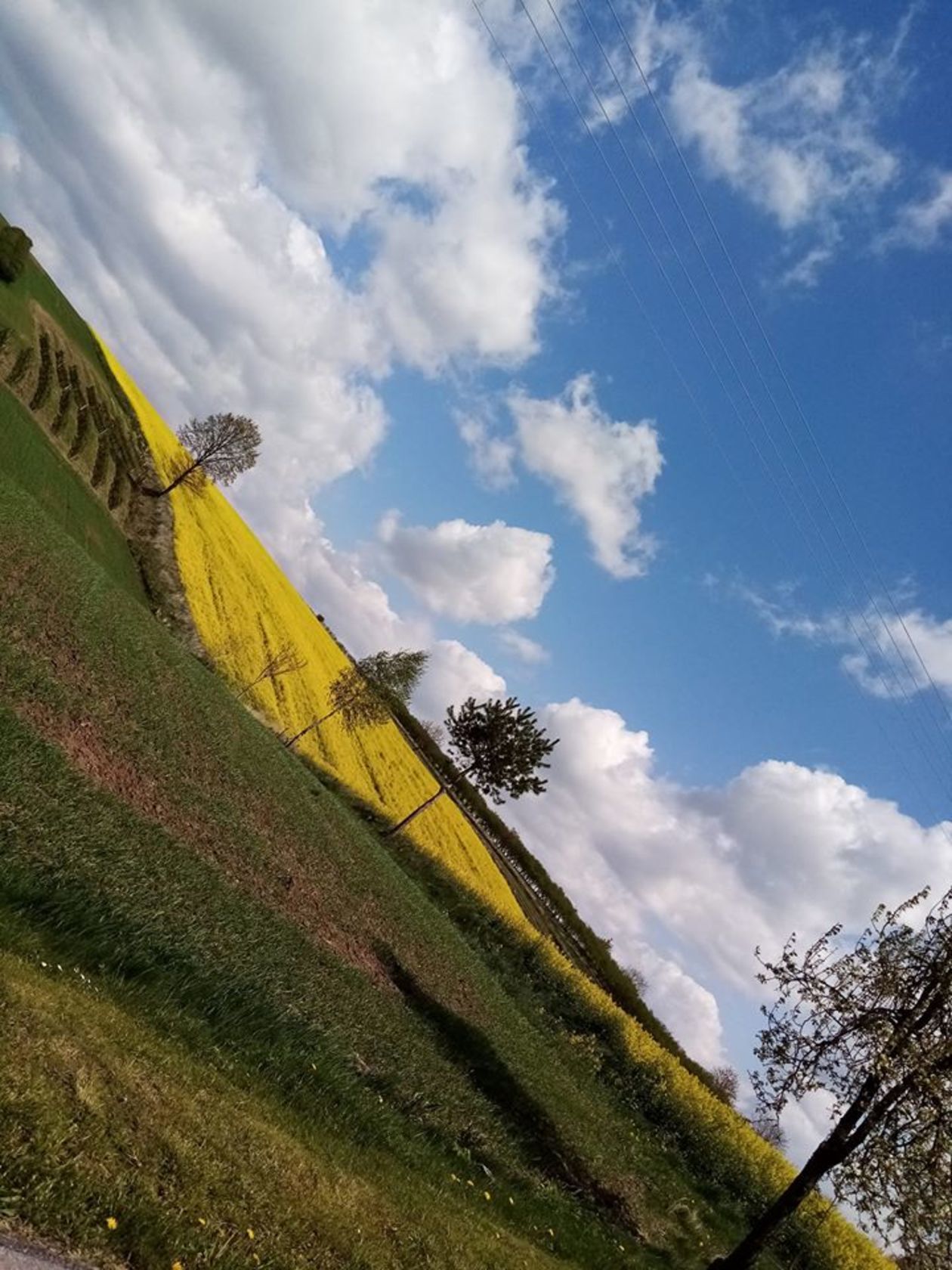  Piękna Lubelszczyzna - zdjęcia Czytelników (zdjęcie 1) - Autor: Anna Góra