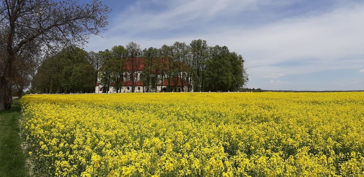  Piękna Lubelszczyzna - zdjęcia Czytelników (zdjęcie 1) - Autor: Anna O-ek