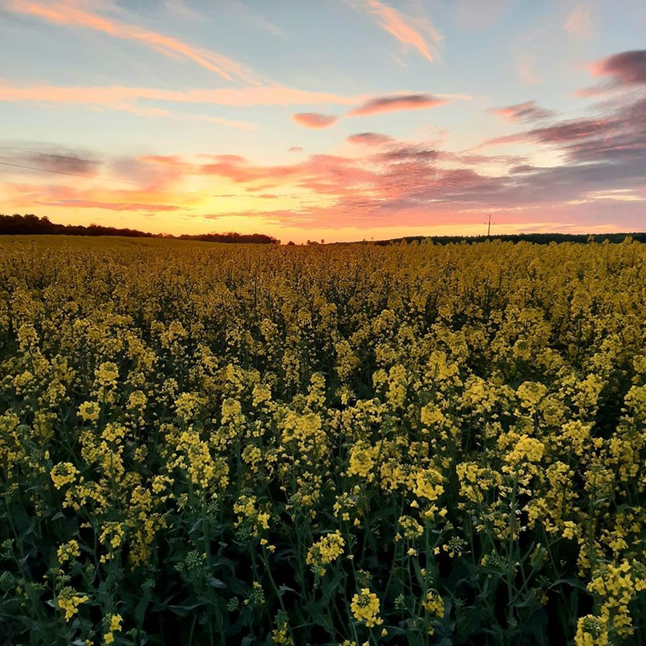  Piękna Lubelszczyzna - zdjęcia Czytelników (zdjęcie 1) - Autor: Anna Rudi