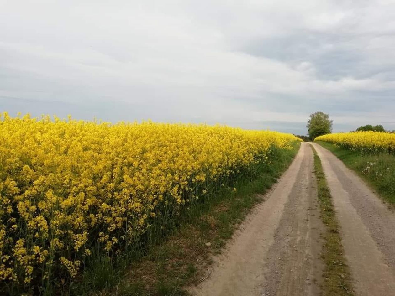 Piękna Lubelszczyzna - zdjęcia Czytelników