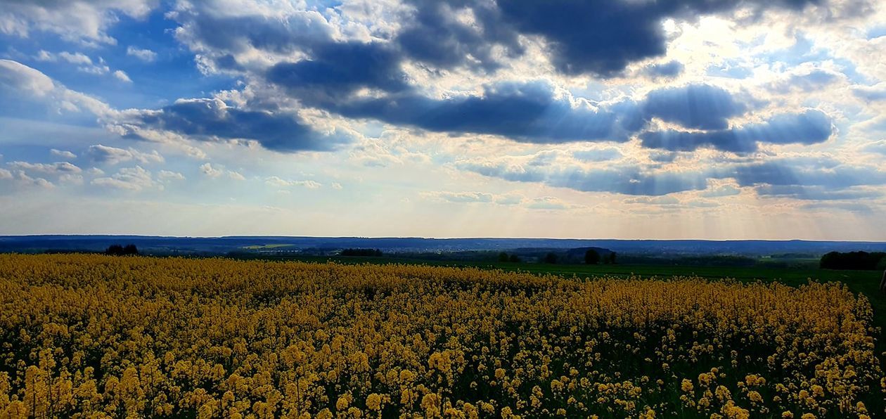 Piękna Lubelszczyzna - zdjęcia Czytelników