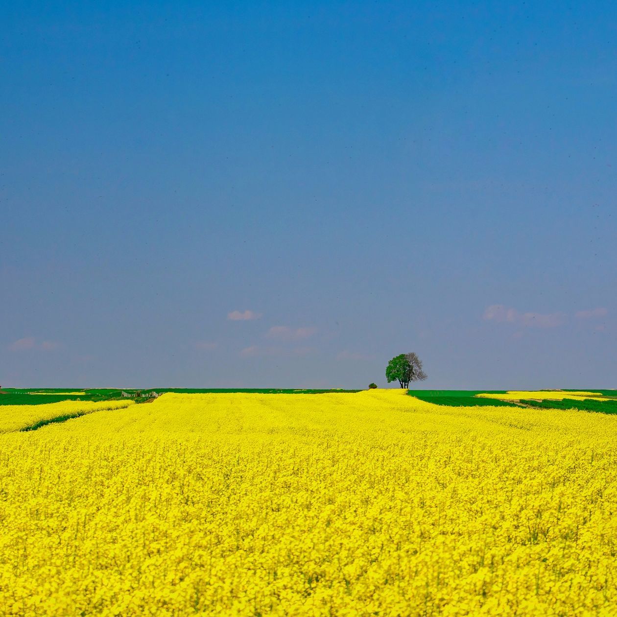  Piękna Lubelszczyzna - zdjęcia Czytelników (zdjęcie 1) - Autor: Tomasz Zajutrek