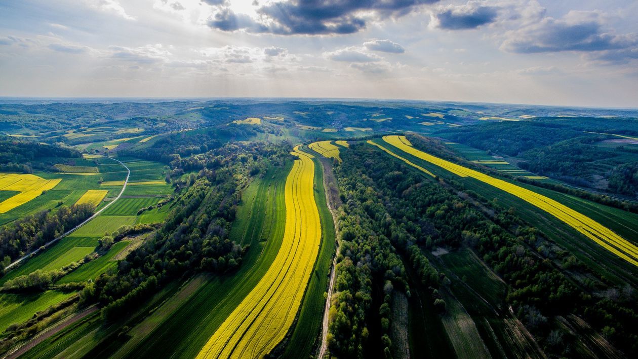  Piękna Lubelszczyzna - zdjęcia Czytelników (zdjęcie 1) - Autor: Dominik Dubaj