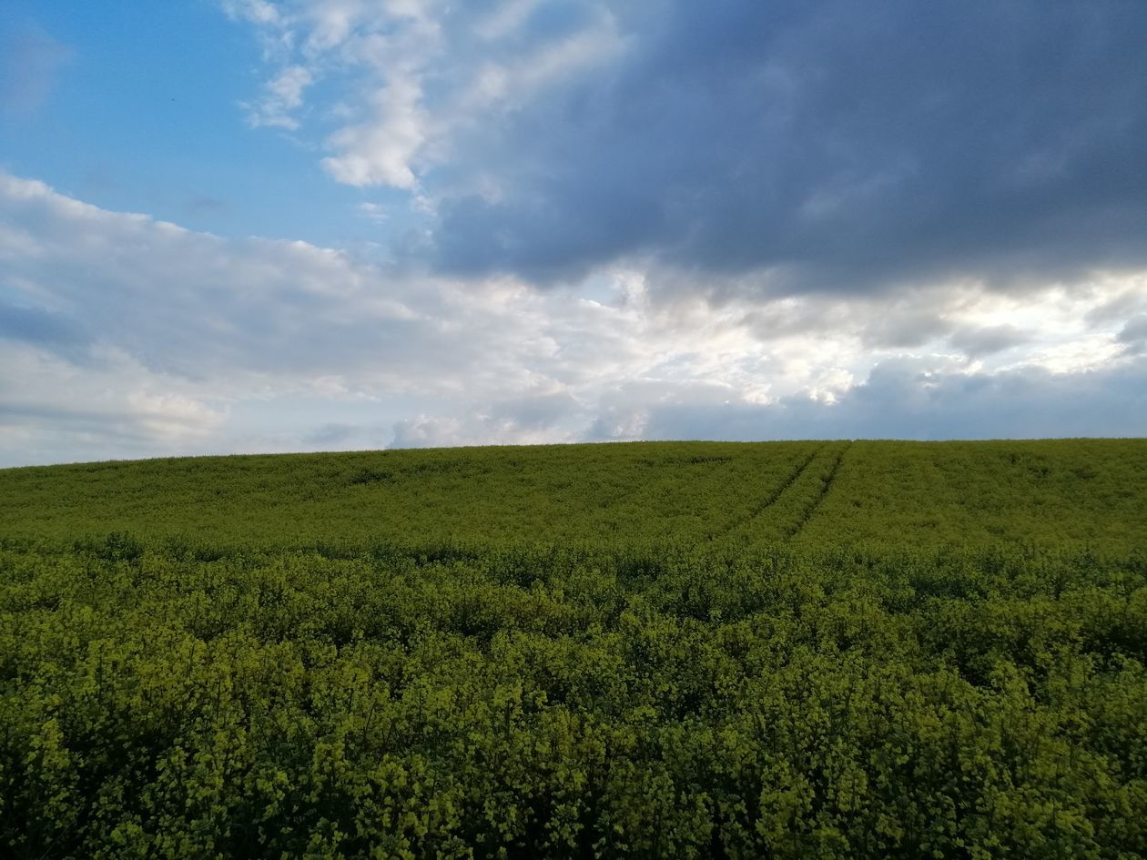 Piękna Lubelszczyzna - zdjęcia Czytelników