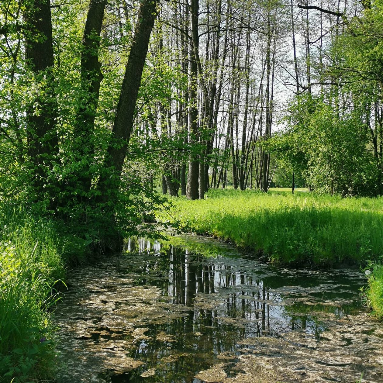  Piękna Lubelszczyzna - zdjęcia Czytelników (zdjęcie 1) - Autor: Izabela Kosyl