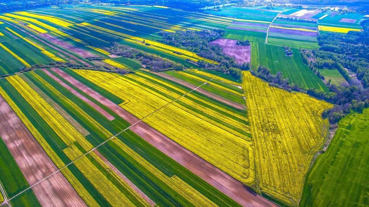  Piękna Lubelszczyzna - zdjęcia Czytelników (zdjęcie 1) - Autor: Dominik Dubaj