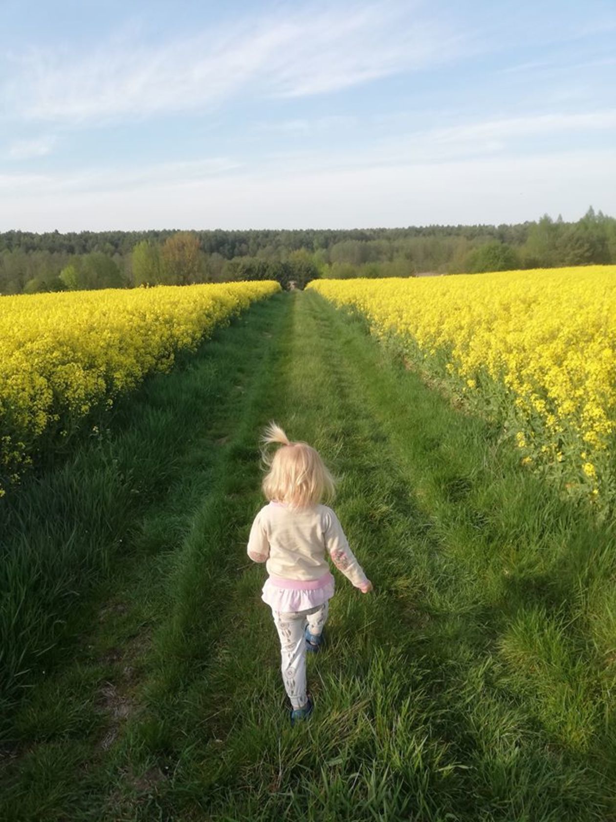  Piękna Lubelszczyzna - zdjęcia Czytelników (zdjęcie 1) - Autor: Lucyna Panas