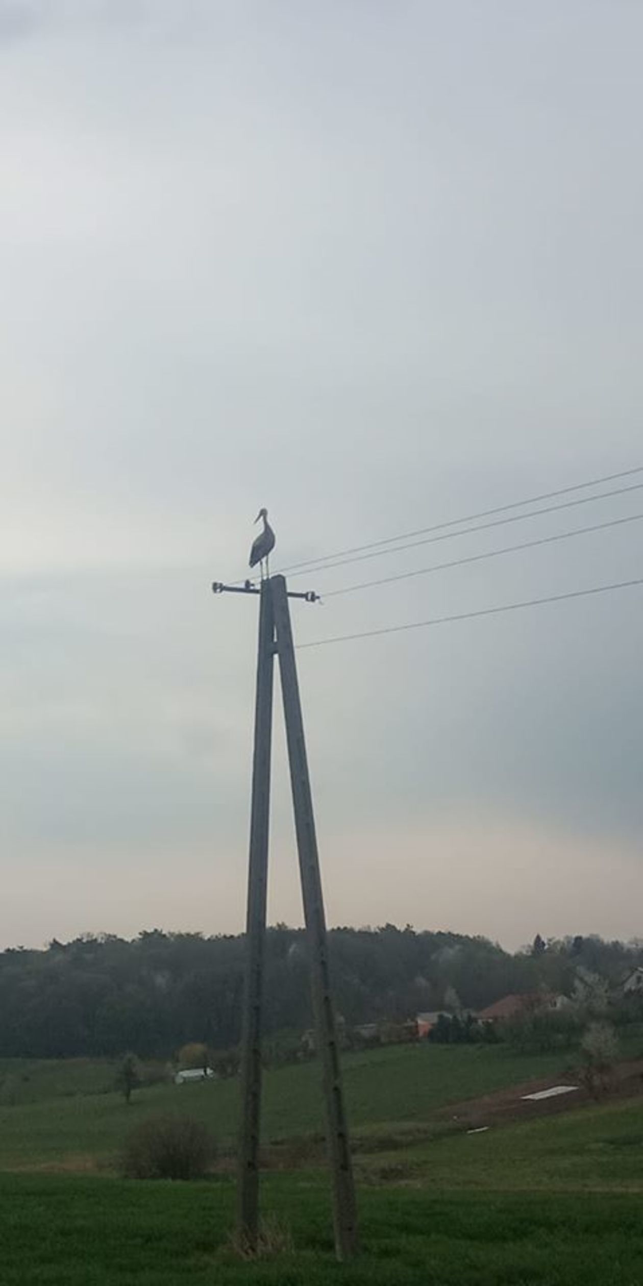  Piękna Lubelszczyzna - zdjęcia Czytelników (zdjęcie 1) - Autor: Joanna Znajomska