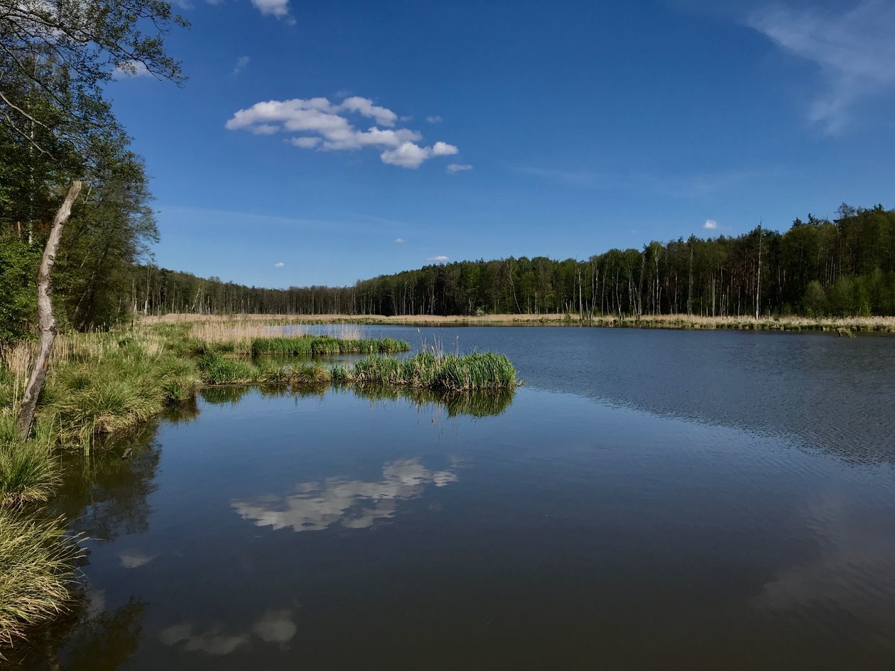 Piękna Lubelszczyzna - zdjęcia Czytelników