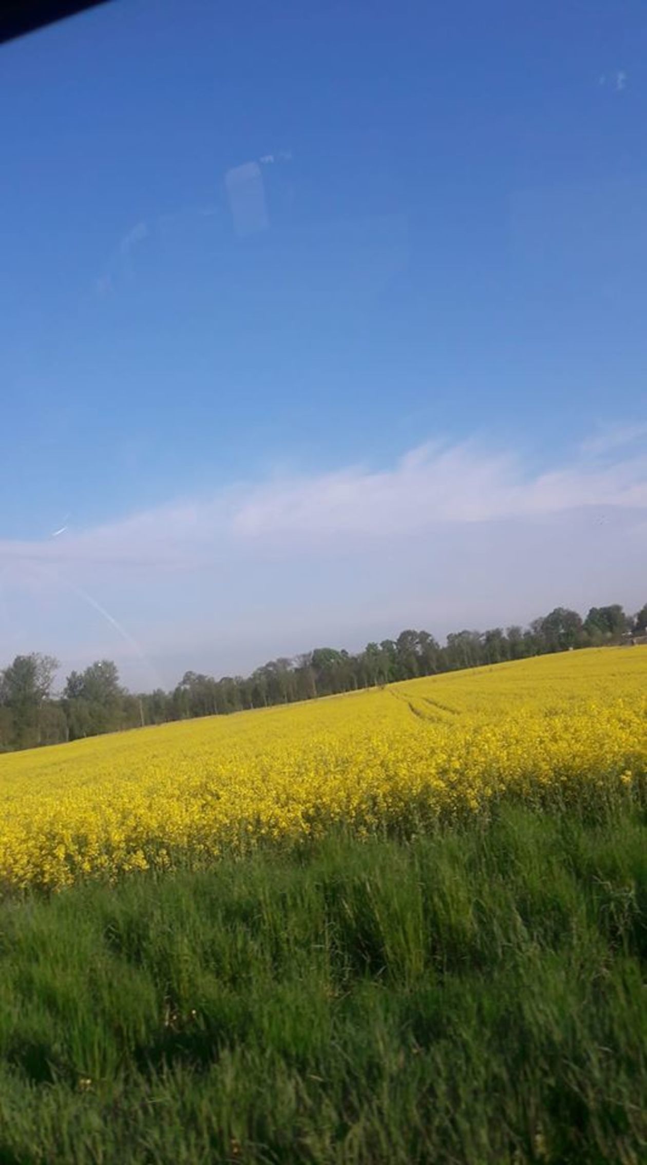  Piękna Lubelszczyzna - zdjęcia Czytelników (zdjęcie 1) - Autor: Ira Kowalska