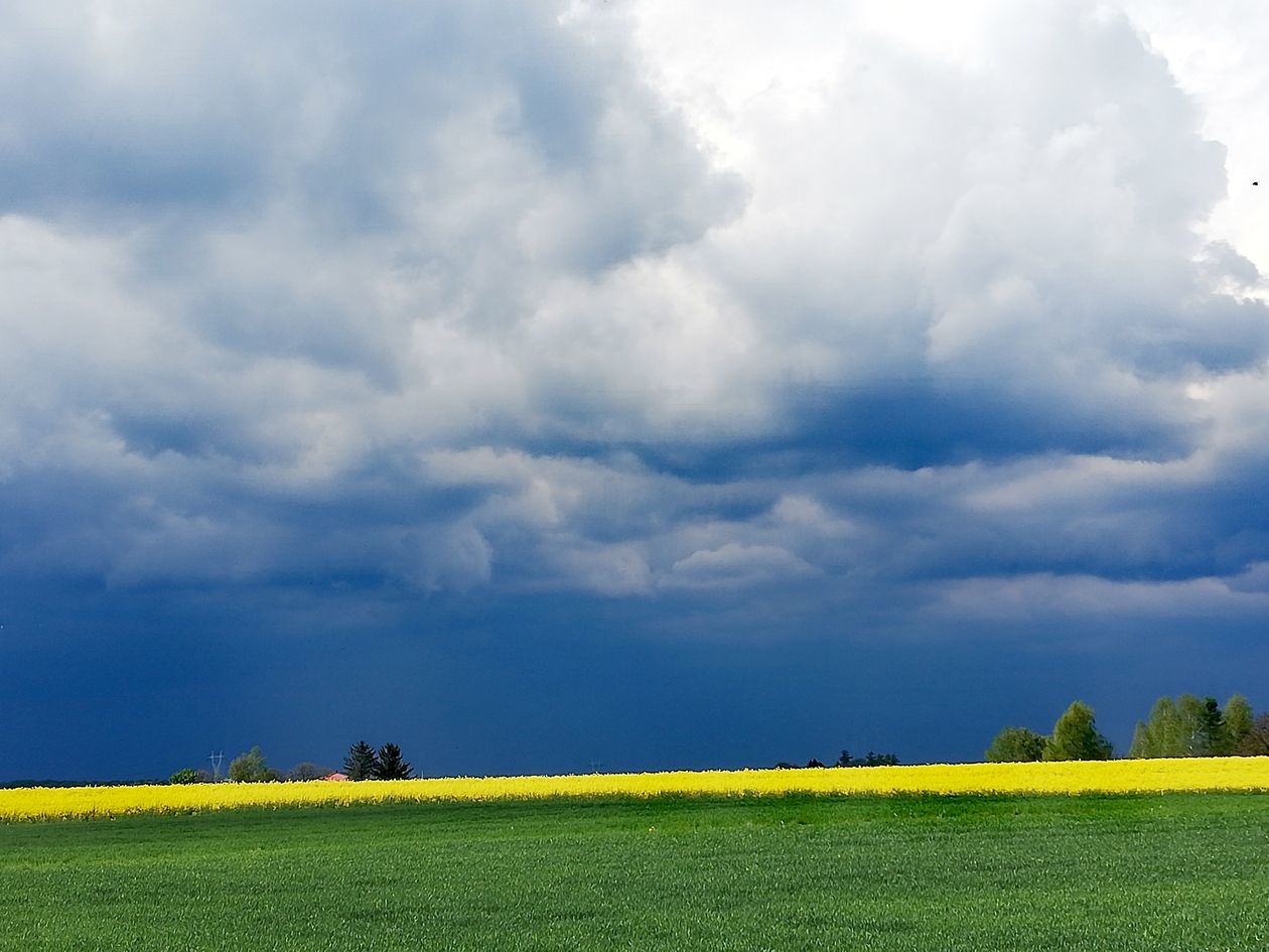  Piękna Lubelszczyzna - zdjęcia Czytelników (zdjęcie 1) - Autor: huba1804