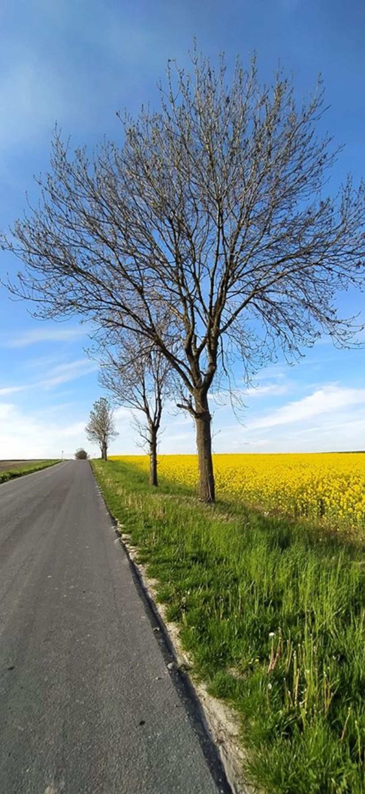  Piękna Lubelszczyzna - zdjęcia Czytelników (zdjęcie 1) - Autor: Elżbieta Szostek