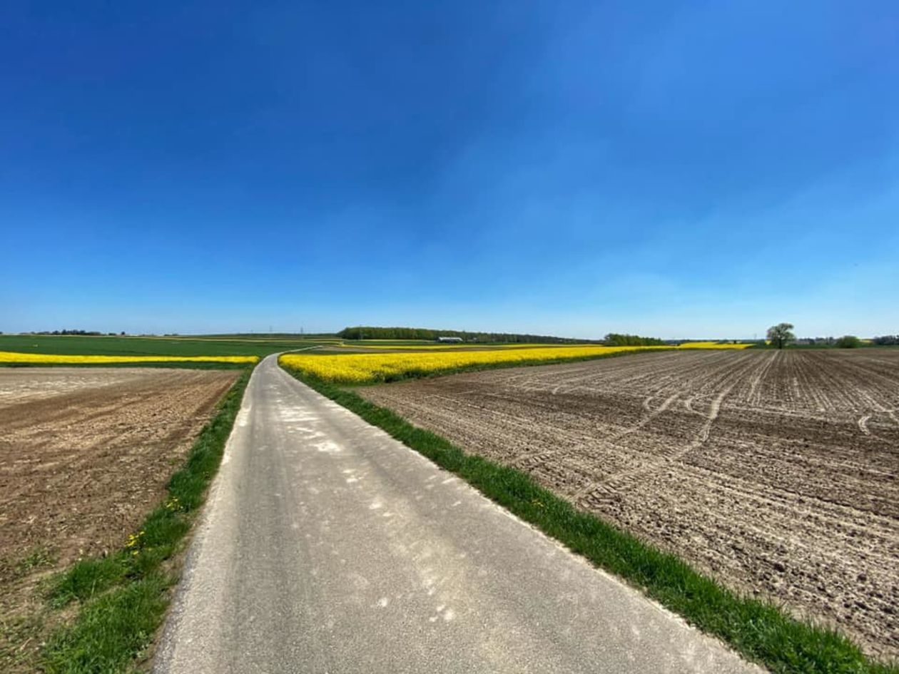  Piękna Lubelszczyzna - zdjęcia Czytelników (zdjęcie 1) - Autor: Łukasz Lecyk