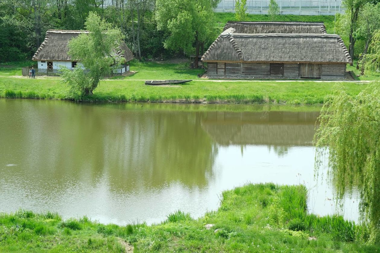  Sobota w Muzeum Wsi Lubelskiej (zdjęcie 1) - Autor: Maciej Kaczanowski