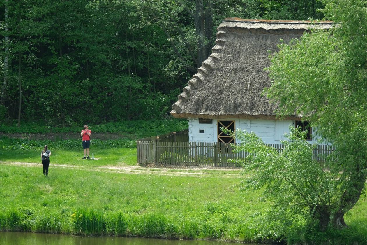  Sobota w Muzeum Wsi Lubelskiej (zdjęcie 1) - Autor: Maciej Kaczanowski