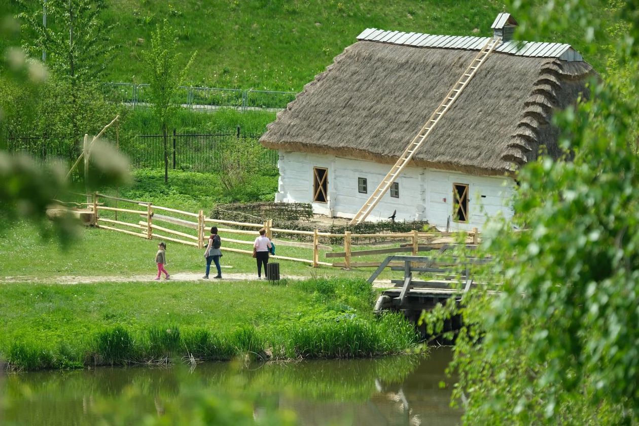  Sobota w Muzeum Wsi Lubelskiej (zdjęcie 1) - Autor: Maciej Kaczanowski