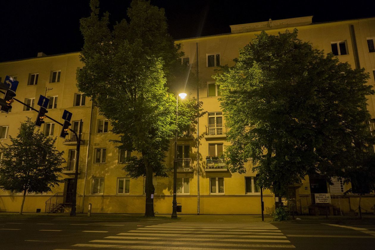  Transparenty w oknach, kartki na drzewach. Przeciwko wycince (zdjęcie 1) - Autor: Michał Siudziński
