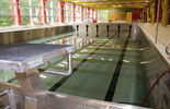 Kryty basen w Tomaszowie Lubelskim (zdjęcie 4)
