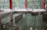 Kryty basen w Tomaszowie Lubelskim (zdjęcie 3)