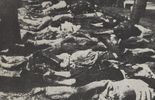 Sochy na Zamojszczyźnie, cmentarz ofiar z 1943 roku (zdjęcie 2)