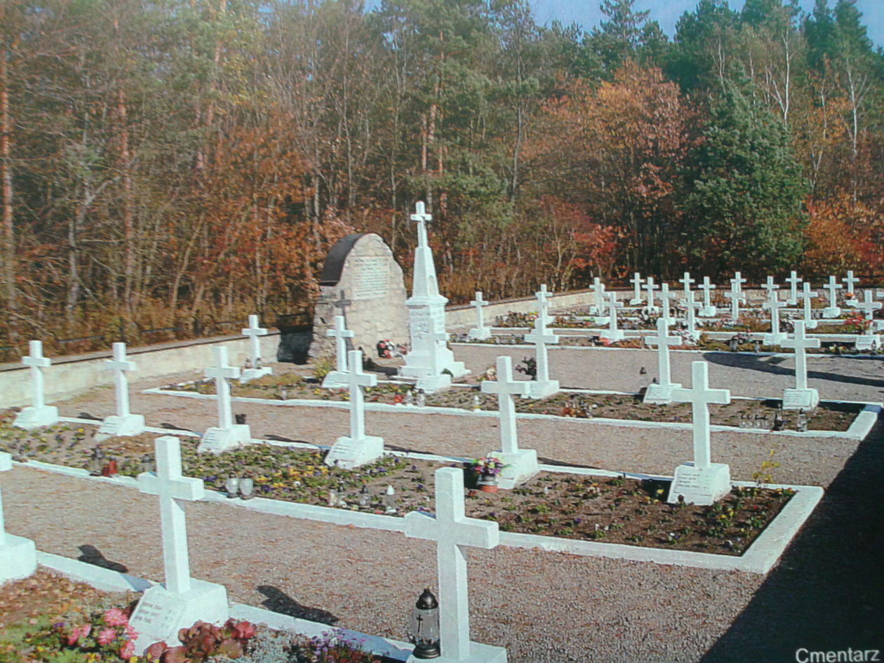  Sochy na Zamojszczyźnie, cmentarz ofiar z 1943 roku (zdjęcie 1) - Autor: Jan Kotwis/UWLublin