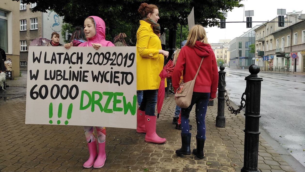 Protest w obronie drzew na ul. Lipowej w Lublinie