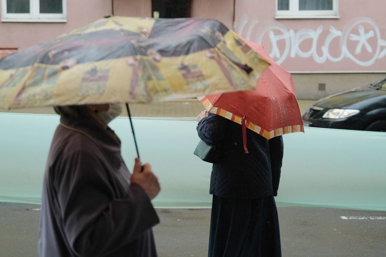  Protest w obronie drzew na ul. Lipowej w Lublinie (zdjęcie 1) - Autor: Maciej Kaczanowski