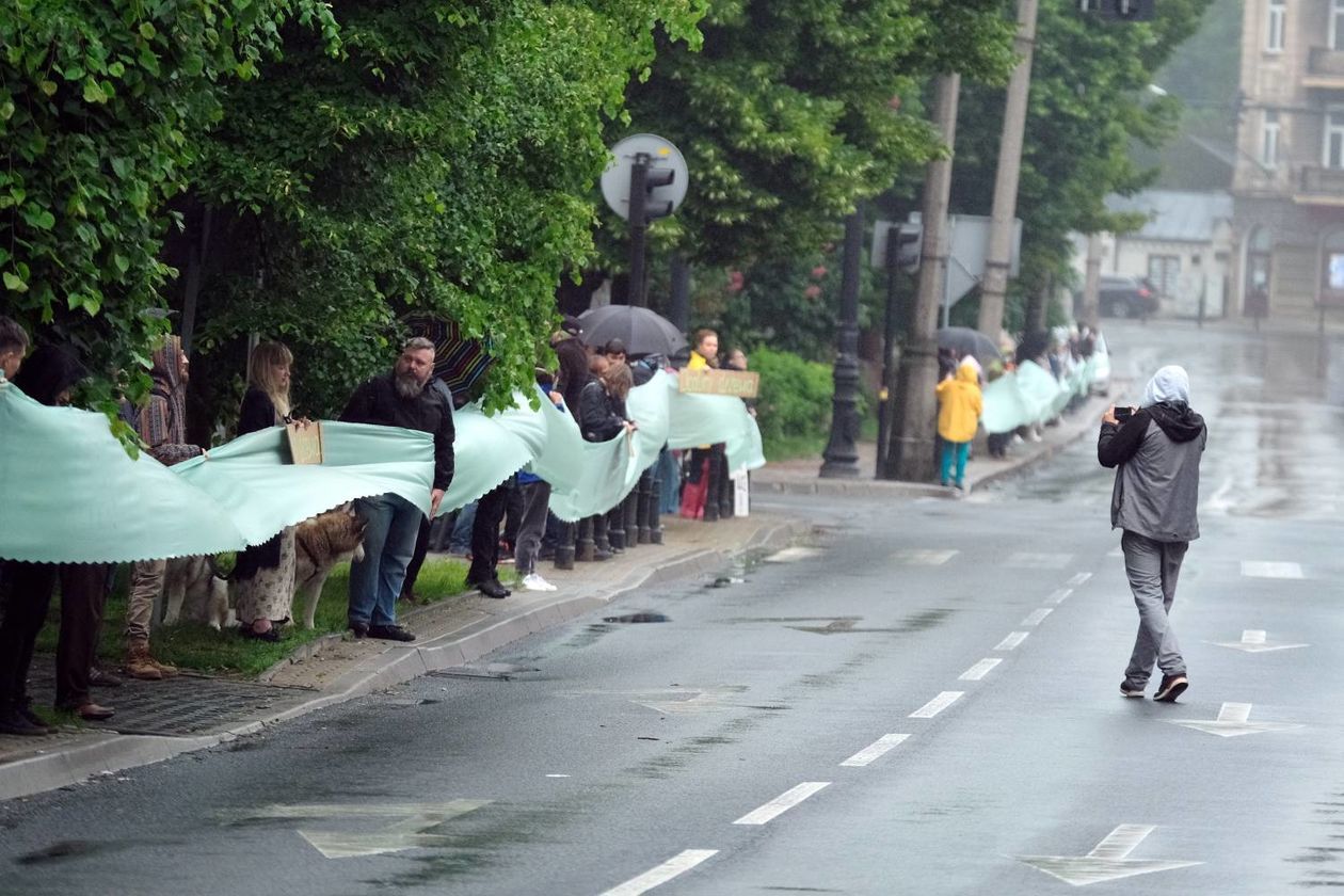  Protest w obronie drzew na ul. Lipowej w Lublinie (zdjęcie 1) - Autor: Maciej Kaczanowski