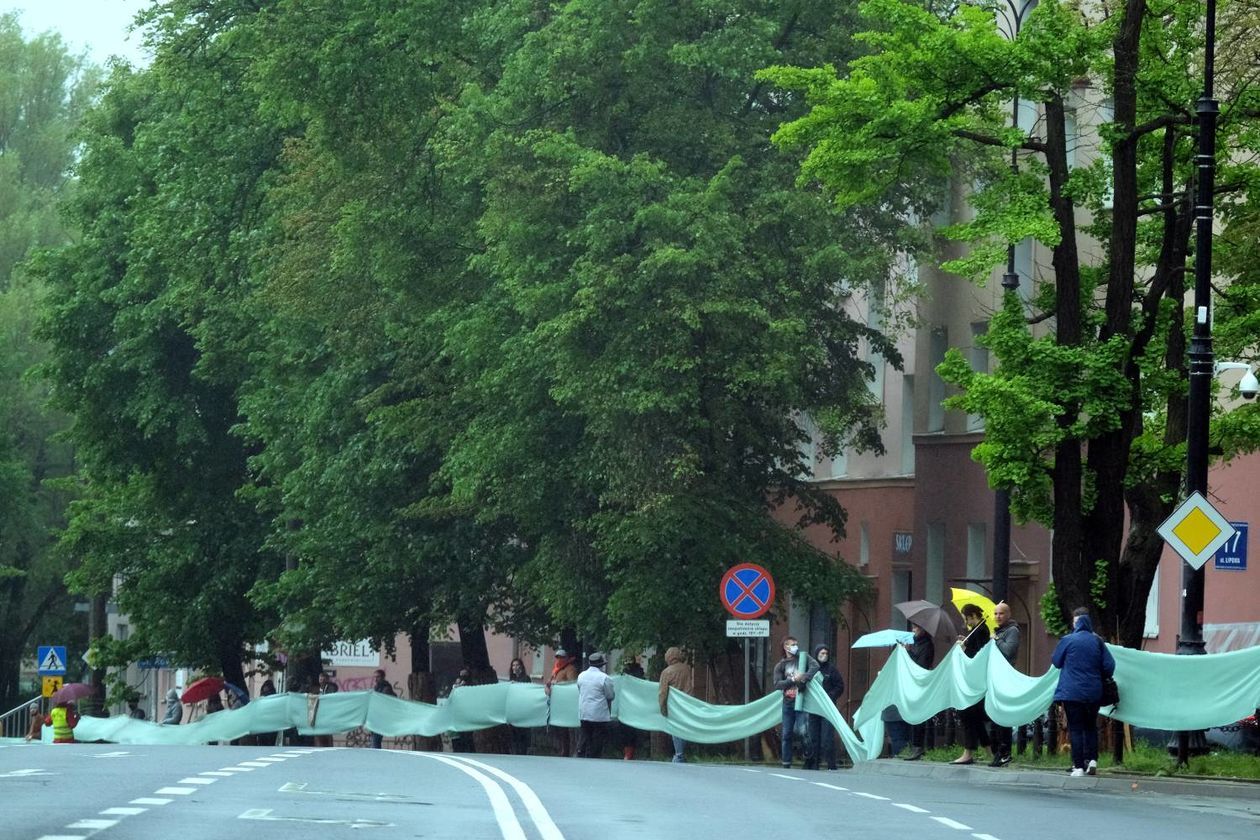  Protest w obronie drzew na ul. Lipowej w Lublinie (zdjęcie 1) - Autor: Maciej Kaczanowski