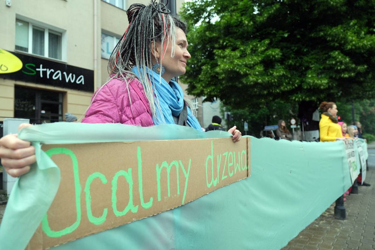  Protest w obronie drzew na ul. Lipowej w Lublinie (zdjęcie 1) - Autor: Maciej Kaczanowski