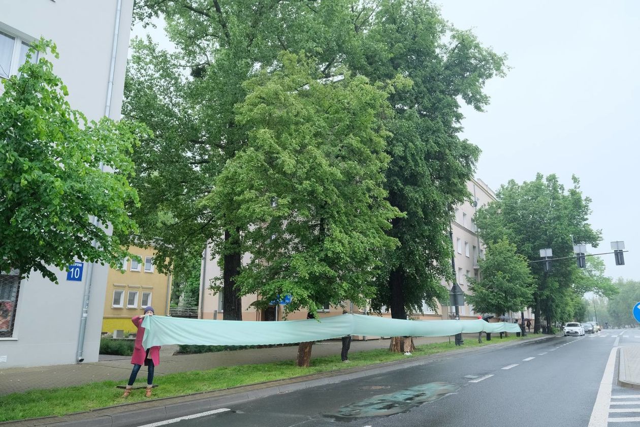  Protest w obronie drzew na ul. Lipowej w Lublinie (zdjęcie 1) - Autor: Maciej Kaczanowski