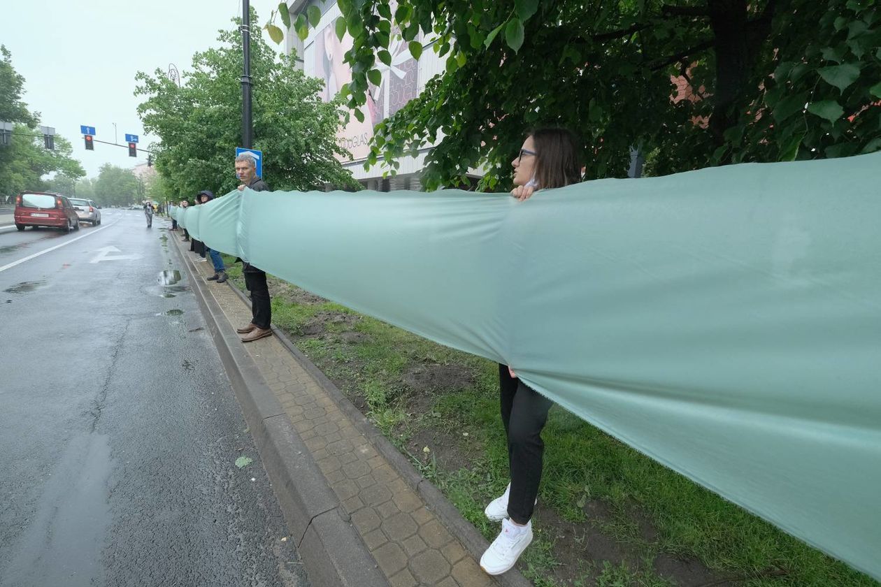  Protest w obronie drzew na ul. Lipowej w Lublinie (zdjęcie 1) - Autor: Maciej Kaczanowski