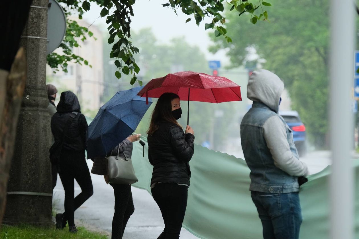  Protest w obronie drzew na ul. Lipowej w Lublinie (zdjęcie 1) - Autor: Maciej Kaczanowski