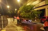 Nocne usuwanie drzew z ulicy Lipowej w Lublinie (zdjęcie 3)