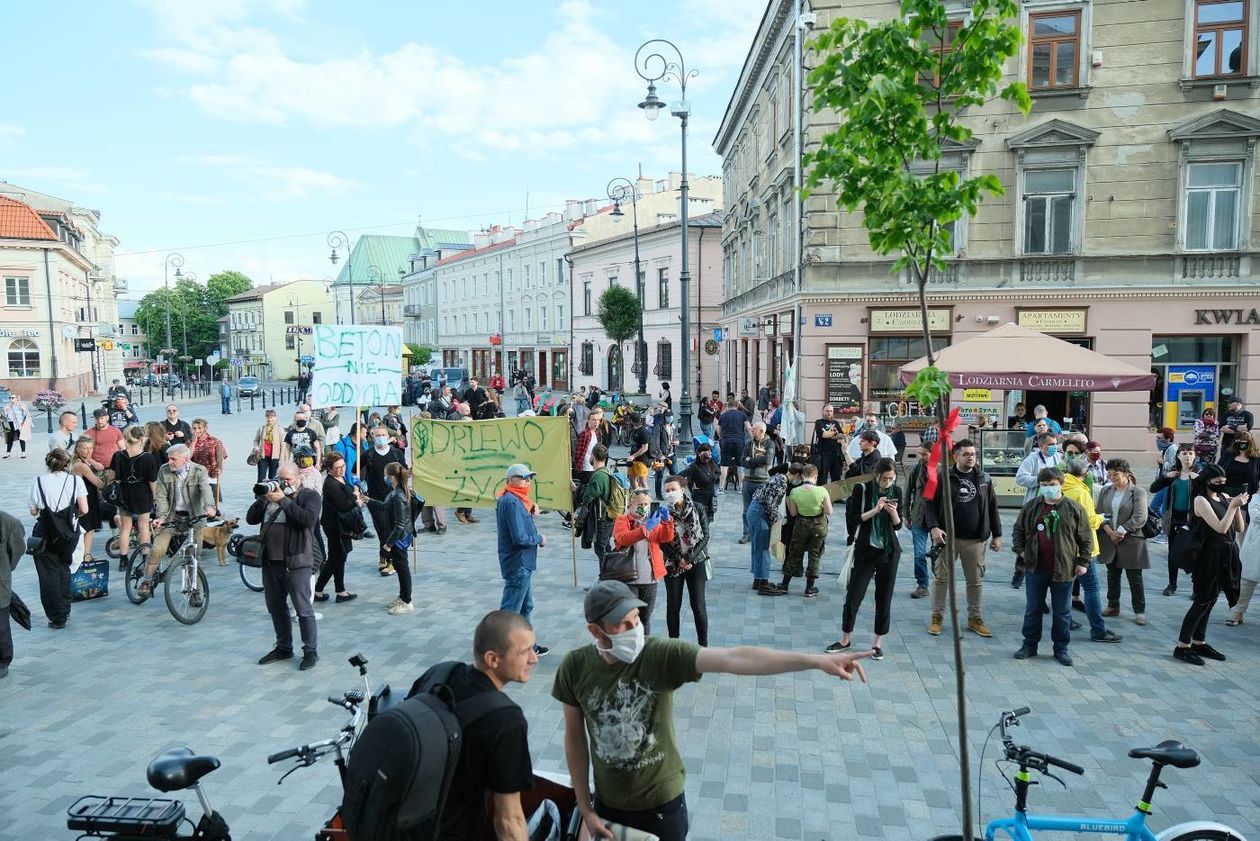  Protest w obronie drzew z ul. Lipowej przed lubelskim ratuszem (zdjęcie 1) - Autor: Maciej Kaczanowski