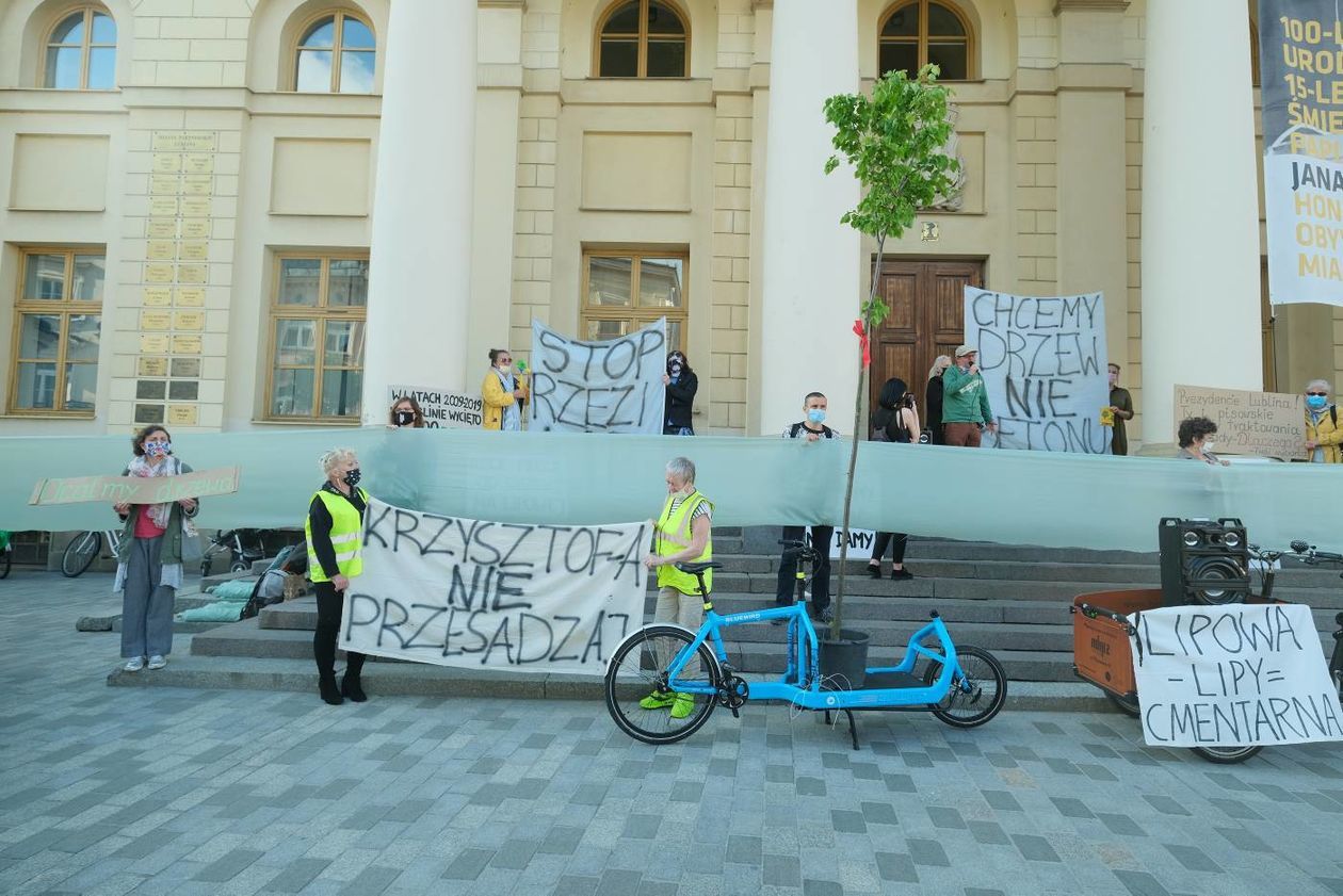  Protest w obronie drzew z ul. Lipowej przed lubelskim ratuszem (zdjęcie 1) - Autor: Maciej Kaczanowski