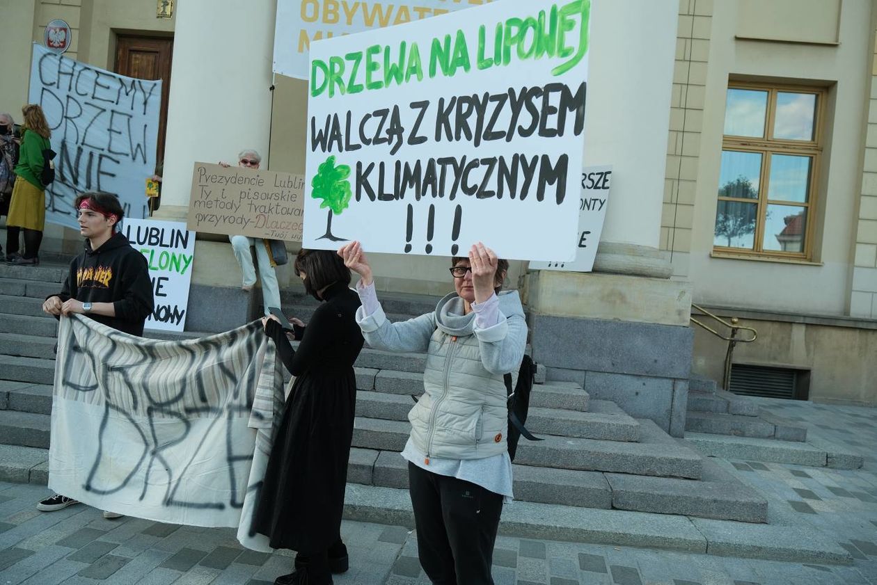  Protest w obronie drzew z ul. Lipowej przed lubelskim ratuszem (zdjęcie 1) - Autor: Maciej Kaczanowski