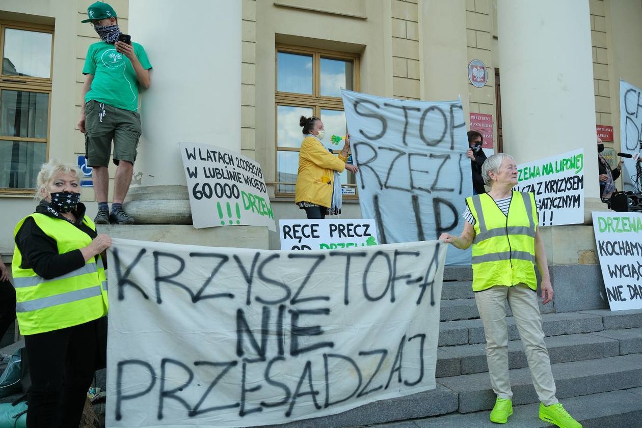  Protest w obronie drzew z ul. Lipowej przed lubelskim ratuszem (zdjęcie 1) - Autor: Maciej Kaczanowski