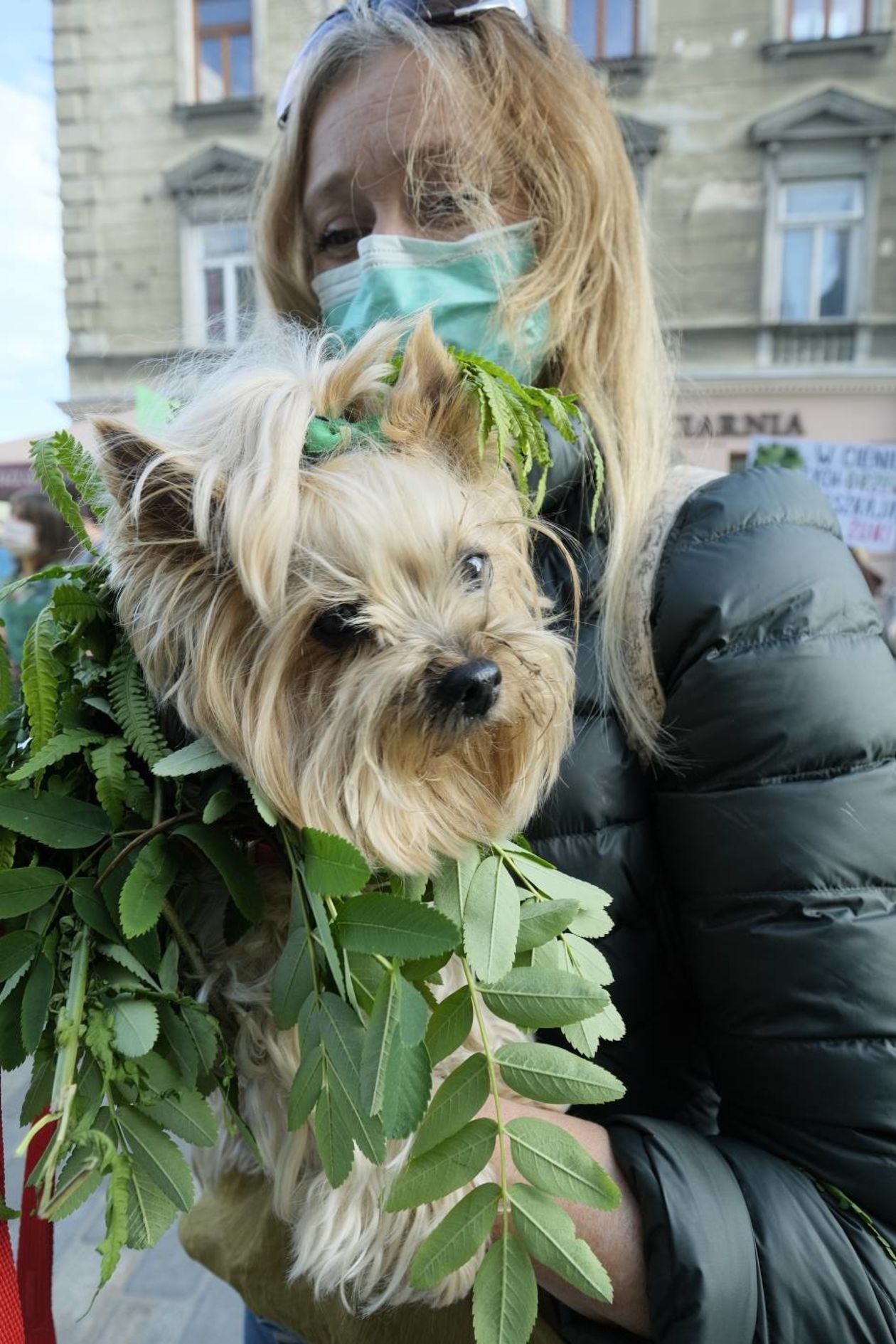  Protest w obronie drzew z ul. Lipowej przed lubelskim ratuszem (zdjęcie 1) - Autor: Maciej Kaczanowski