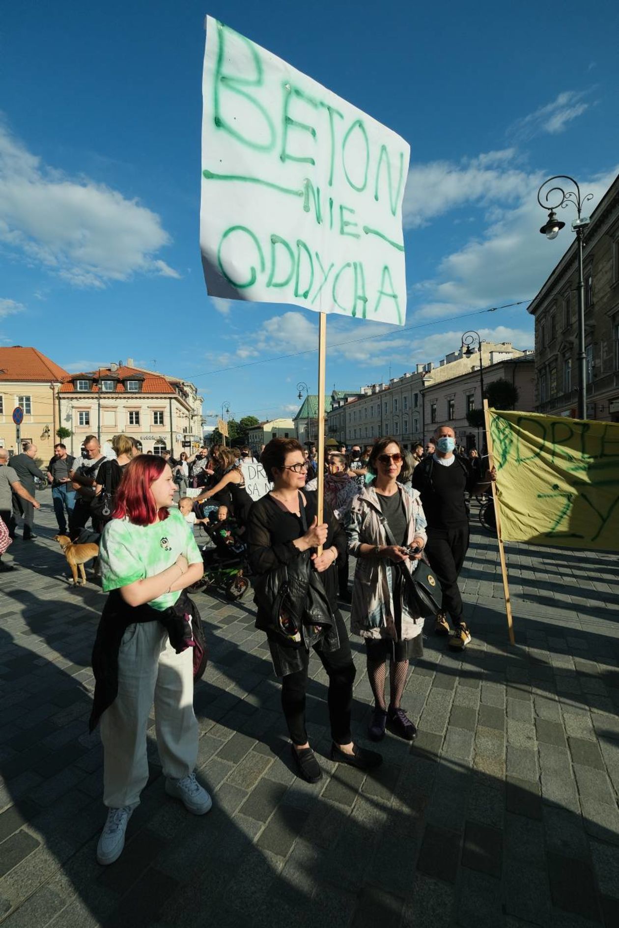  Protest w obronie drzew z ul. Lipowej przed lubelskim ratuszem (zdjęcie 1) - Autor: Maciej Kaczanowski