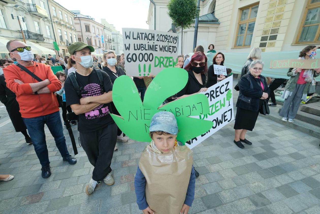  Protest w obronie drzew z ul. Lipowej przed lubelskim ratuszem (zdjęcie 1) - Autor: Maciej Kaczanowski