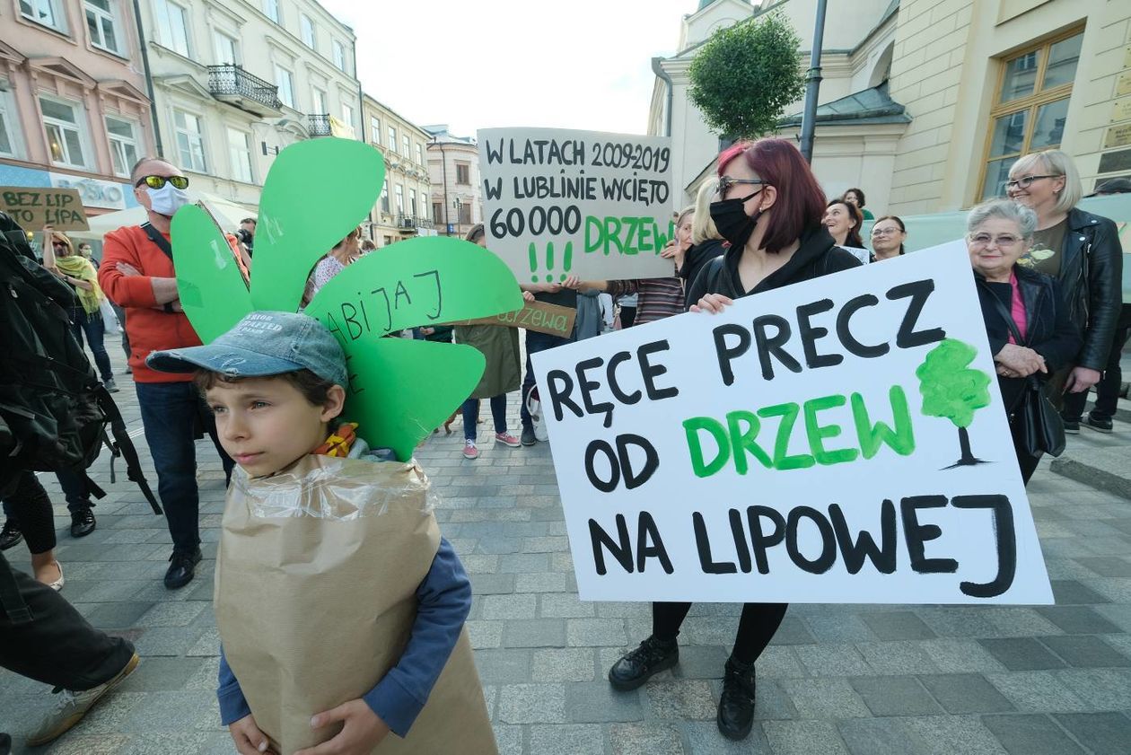  Protest w obronie drzew z ul. Lipowej przed lubelskim ratuszem (zdjęcie 1) - Autor: Maciej Kaczanowski