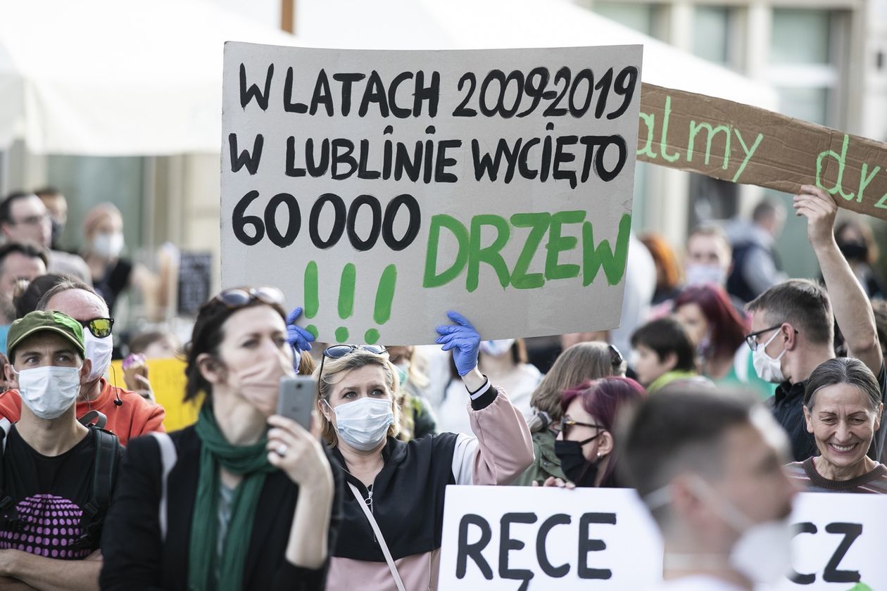  Protest przed Ratuszem w obronie drzew (zdjęcie 1) - Autor: Jacek Szydłowski